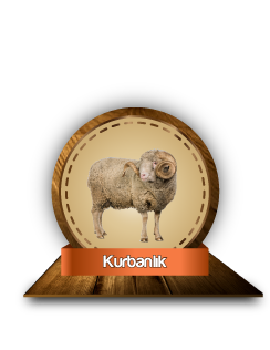 Kurbanlık